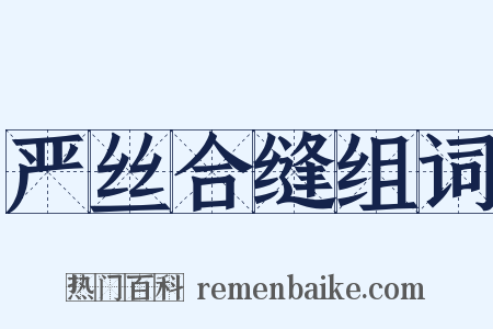 严丝合缝组词是什么意思的图片
